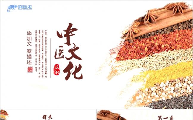 精美简约中药中医文化宣讲PPT模板缩略图