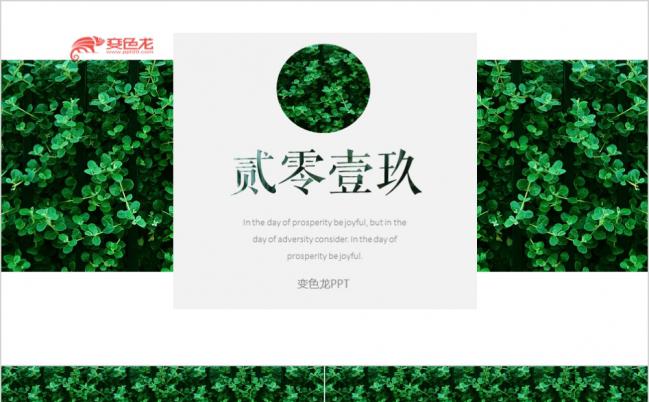 2019简约夏季森林生物清爽绿色植物清新工作汇报ppt模板缩略图