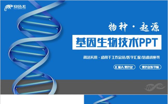 简约蓝色商务基因DNA生物技术医学研究汇报PPT模版缩略图