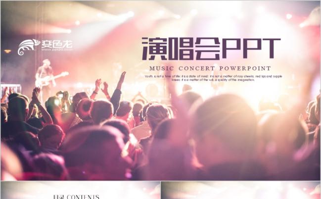 青春激情派对明星演唱会活动策划方案ppt动态模板缩略图