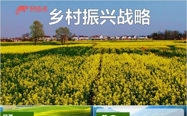 乡村振兴战略计划PPT模板缩略图