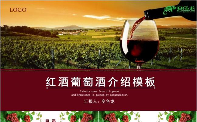 红色高端红酒葡萄酒介绍PPT模板缩略图