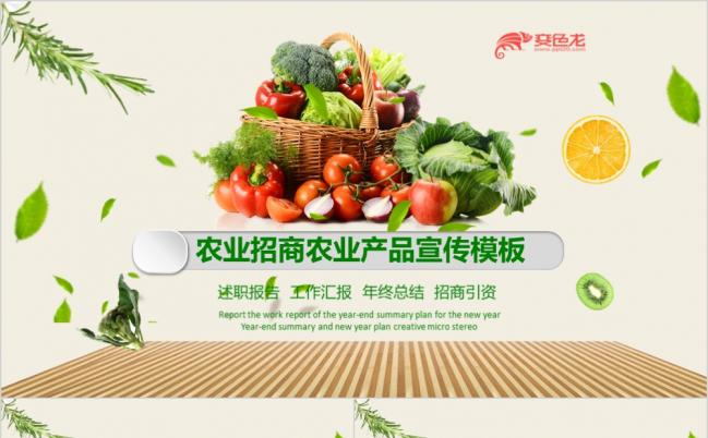 简约风生态农业绿色生产招商农产品新农村建设PPT模板缩略图