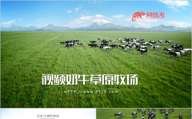 开场视频片头畜牧业乳业农场养殖农业奶牛草原牧场PPT模板缩略图