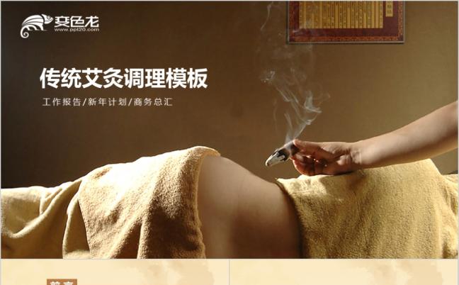 艾灸中医养生调理中药保健推拿拔罐工作报告新年计划ppt模板缩略图