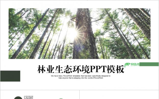 参天大树森系生态环境动态ppt模板缩略图