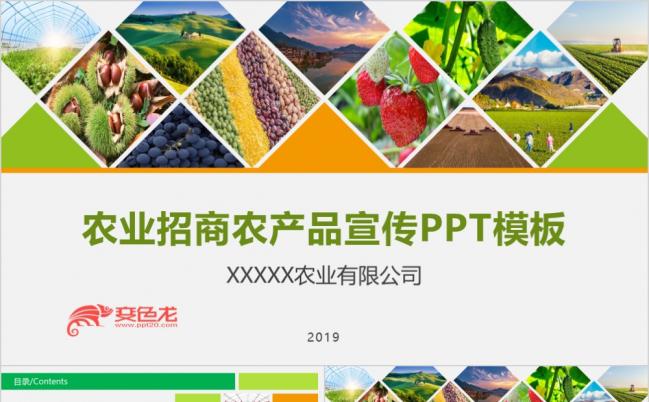 绿色清新色农业招商农产品宣传农作物食品安全ppt模板缩略图