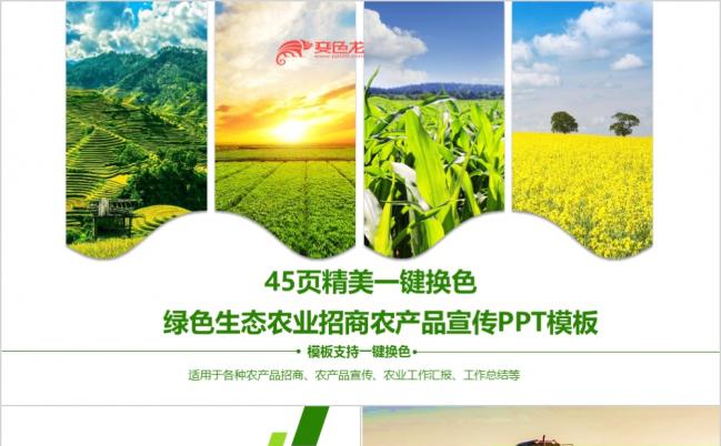 清新绿色生态农业招商农产品宣传工作汇报总结PPT模板缩略图