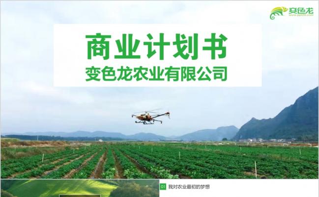 绿色果蔬有机产品农业商业计划书PPT模板缩略图