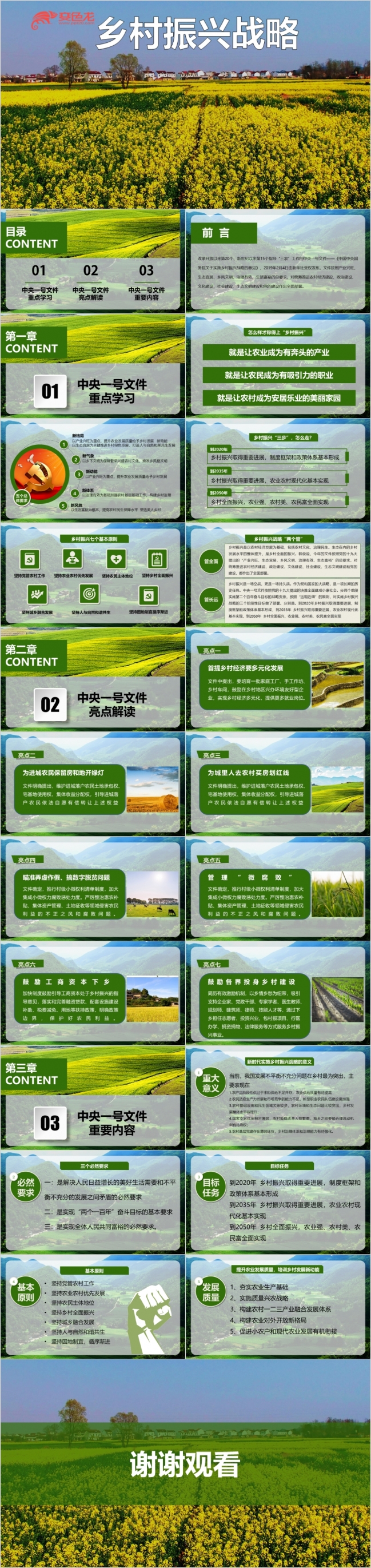 乡村振兴战略计划PPT模板
