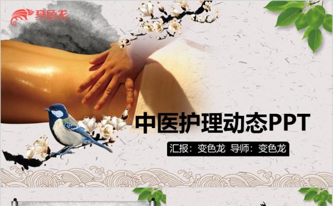 中医中草药护理医学PPT模板缩略图