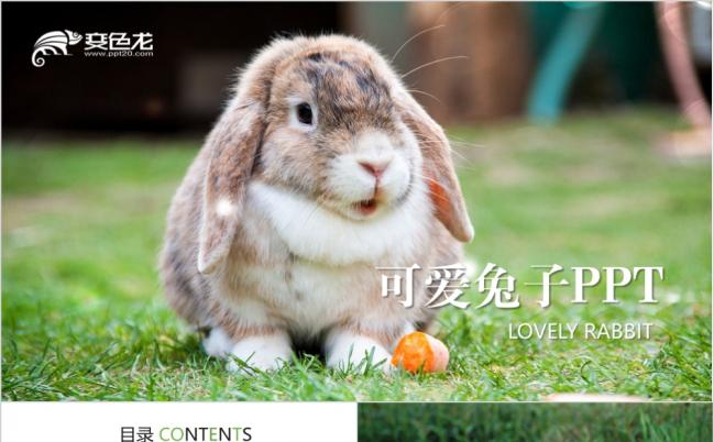 可爱兔子葱郁草丛动态ppt模板缩略图