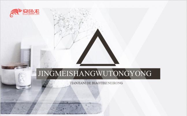 精美时尚简约商务通用白色PPT模板缩略图