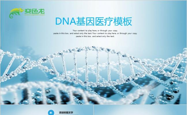 DNA基因医疗医药医疗PPT模板缩略图