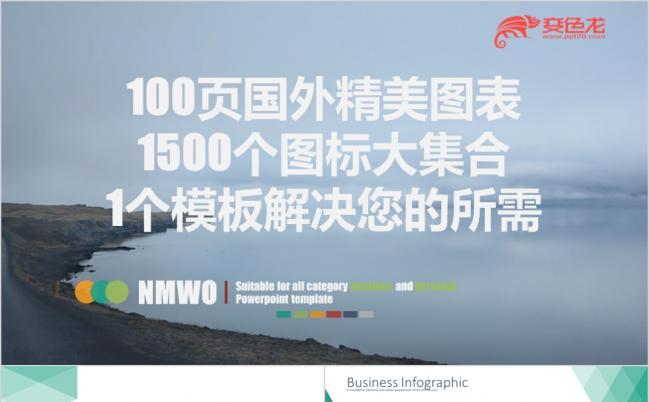2019国外精美图表矢量图标集合PPT模板缩略图