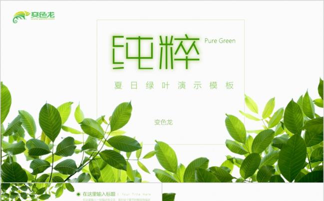 自然风纯粹夏日绿叶商务演示PPT模板缩略图