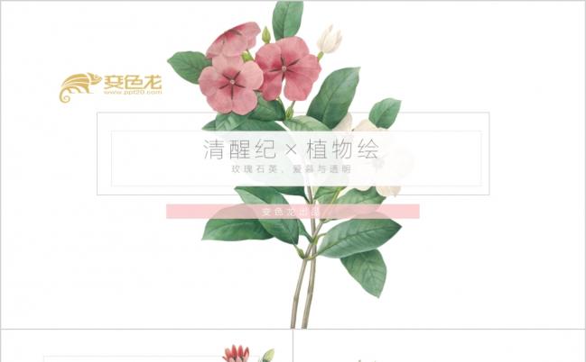 清新实用环保能源行业PPT模板缩略图