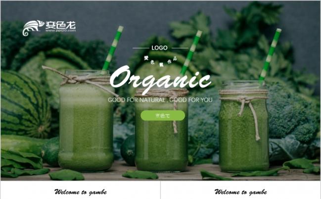 绿色果蔬有机产品招商项目汇报PPT模板缩略图