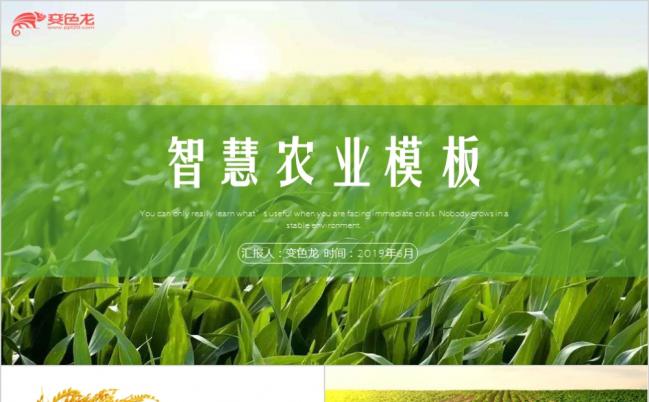 绿色智慧农业虫情测报灯联网杀虫灯工作汇报PPT模板缩略图