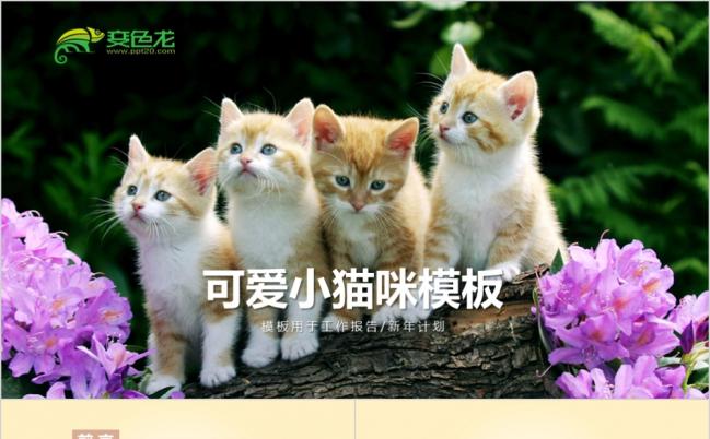 小猫咪喵星人萌宠ppt模板缩略图