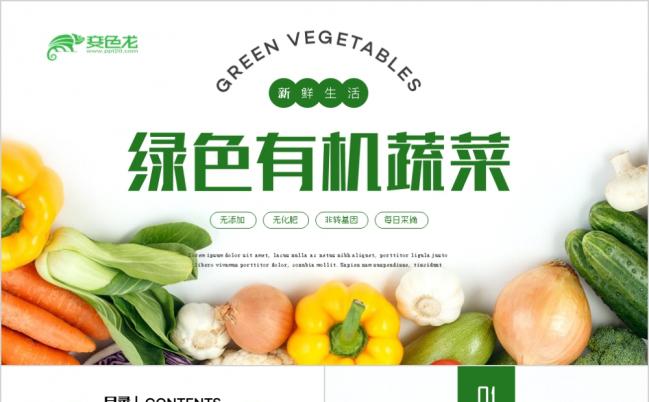 2019年绿色有机天然农业蔬菜水果健康养生ppt模板缩略图