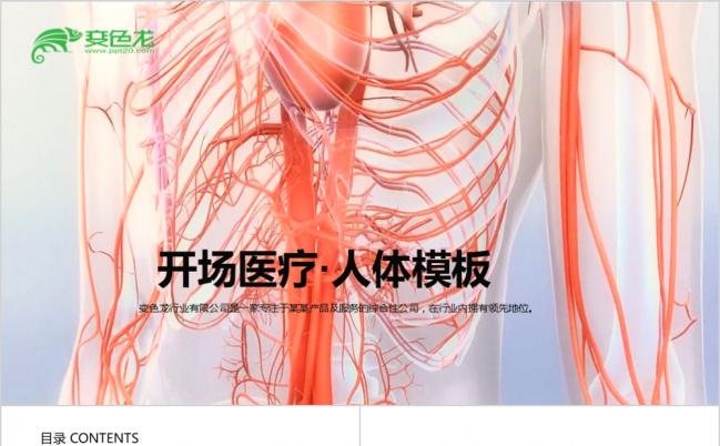 2019开场医疗人体结构组织血管ppt模板缩略图