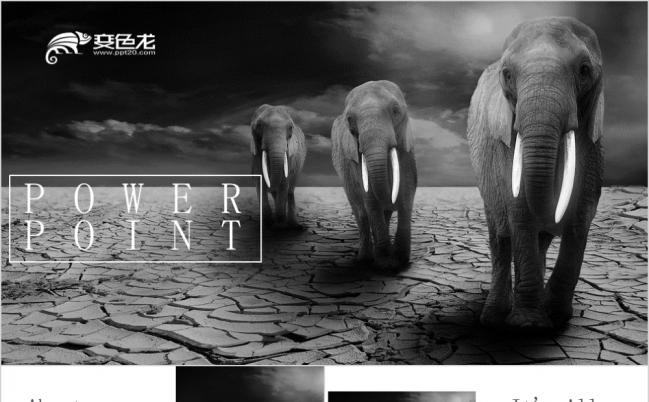 黑白风热带雨淋野生动物黑白风潮PPT模版缩略图