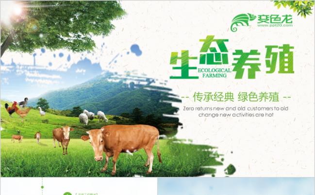 2019绿色生态养殖业牛养猪鸡畜牧业PPT模板缩略图