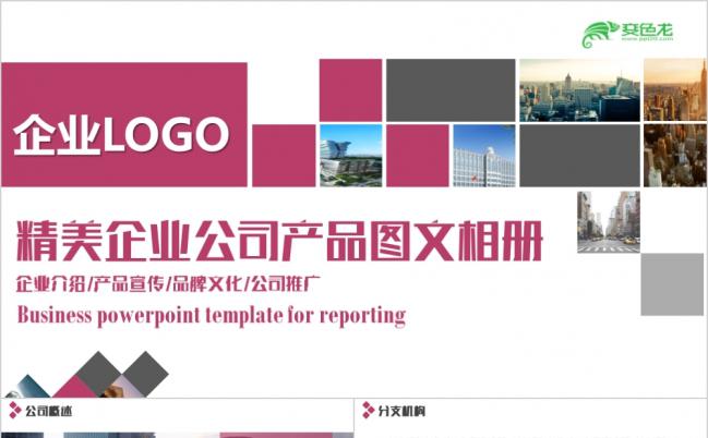 公司相册企业相册产品宣传公司推广典雅精致PPT模板缩略图