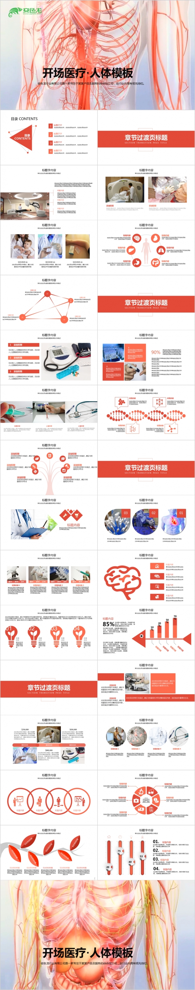 2019开场医疗人体结构组织血管ppt模板