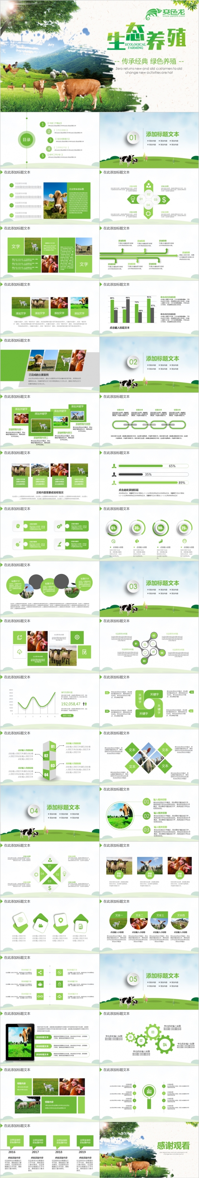 2019绿色生态养殖业牛养猪鸡畜牧业PPT模板