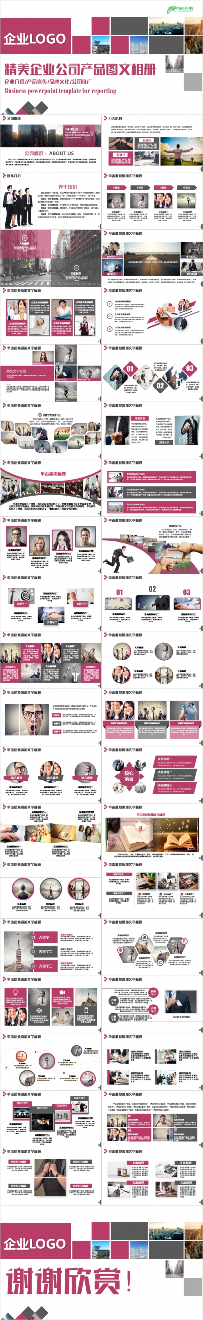 公司相册企业相册产品宣传公司推广典雅精致PPT模板