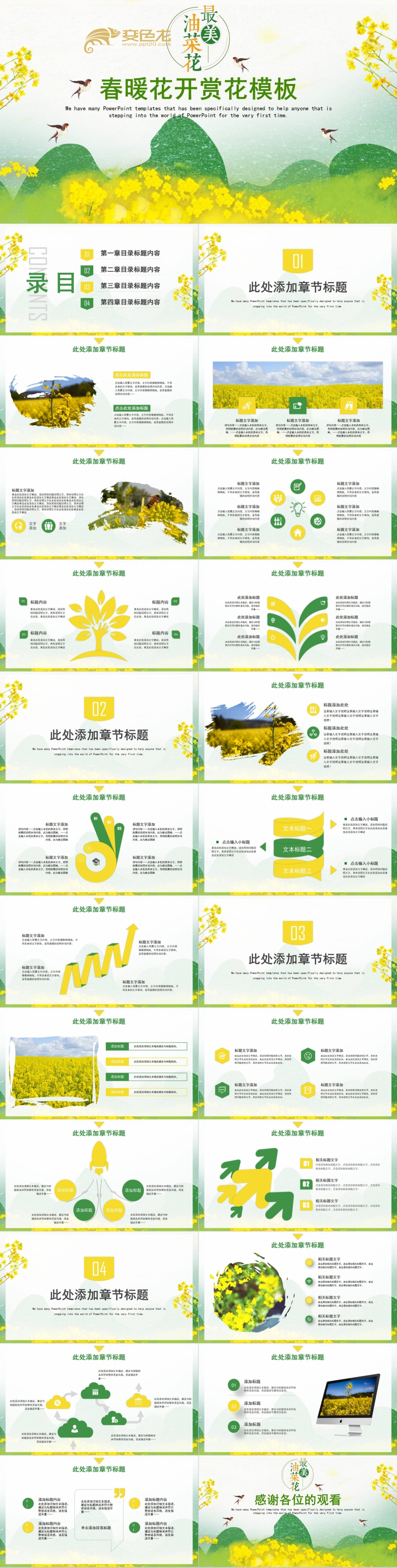 简约精美春暖花开油菜花赏花主题通用PPT模板