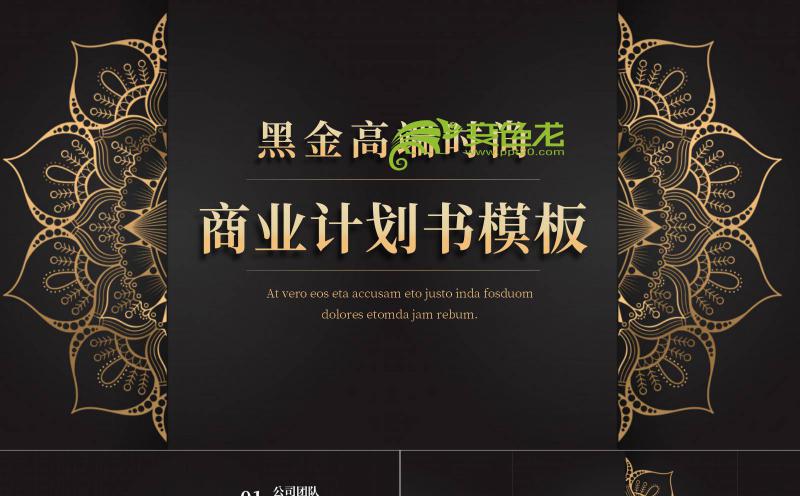 黑金高端时尚大气商业计划书PPT模板缩略图