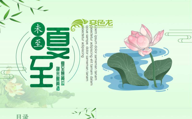 绿色清新唯美二十四节气夏至主题班会PPT模板缩略图